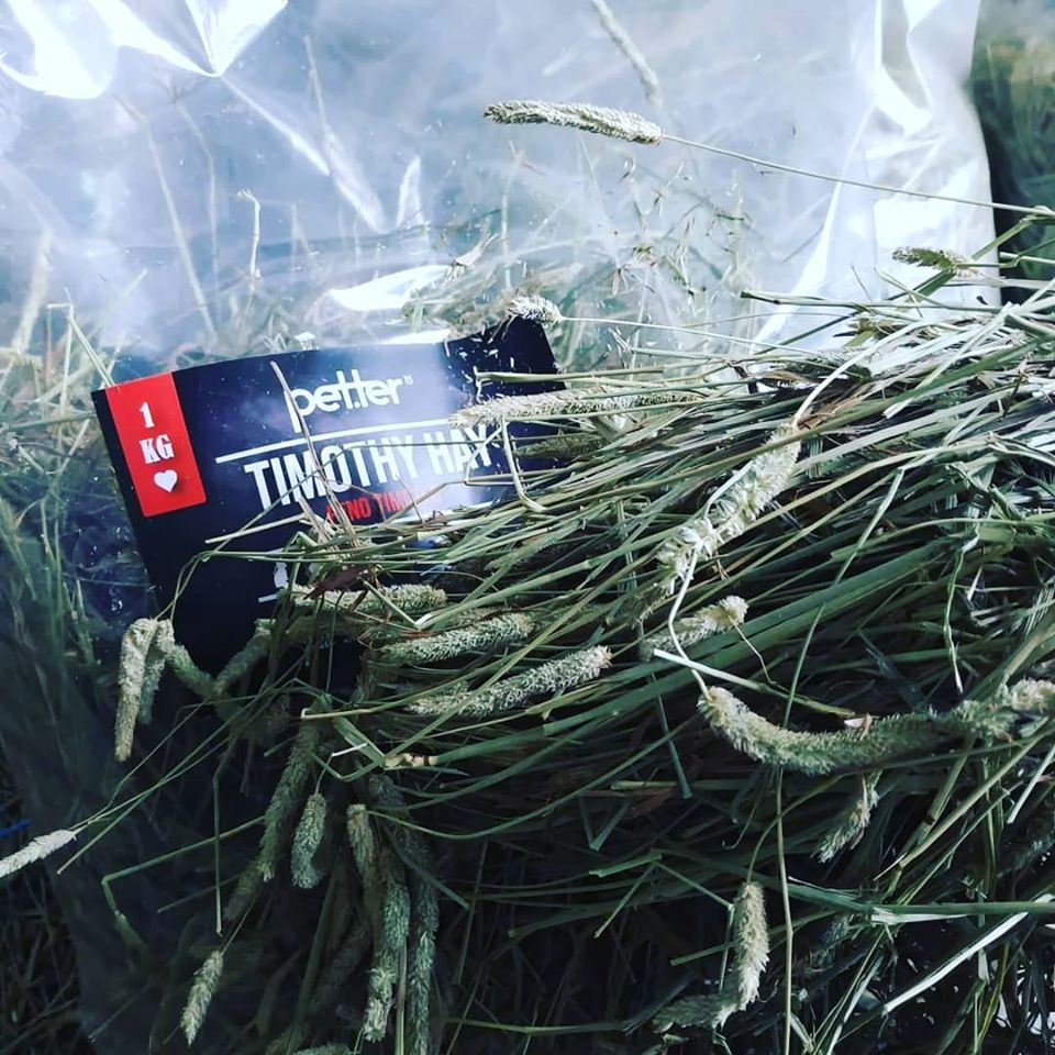 Petter - Feno Timóteo