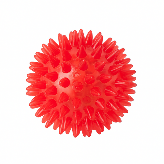 Bola com Espinhos de Borracha