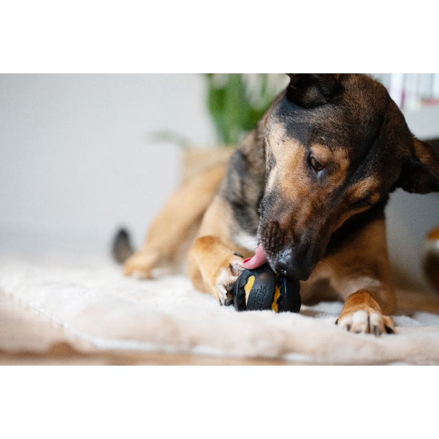 Zeus ChewChasers - Bola Dispensadora de Snacks para Cão