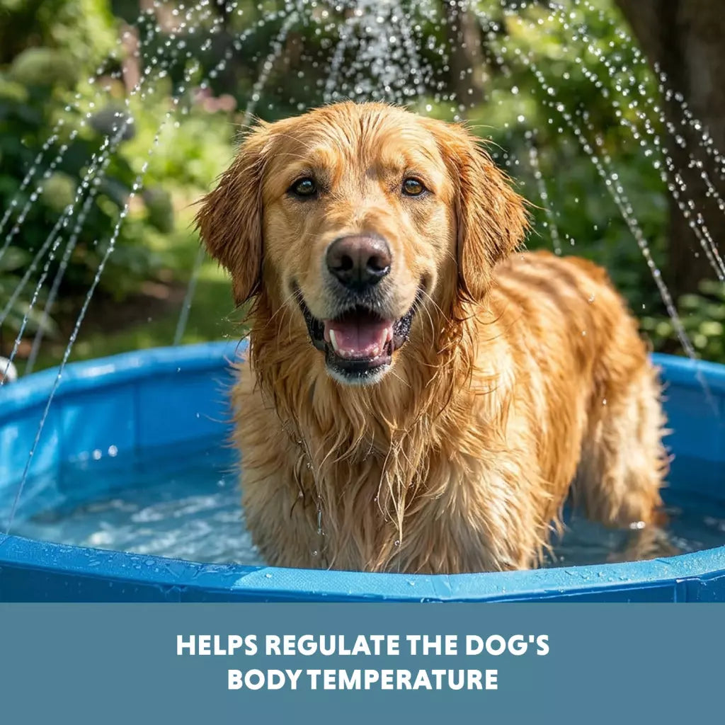 Coolpets - Splash Sprinkler Pool para Cão