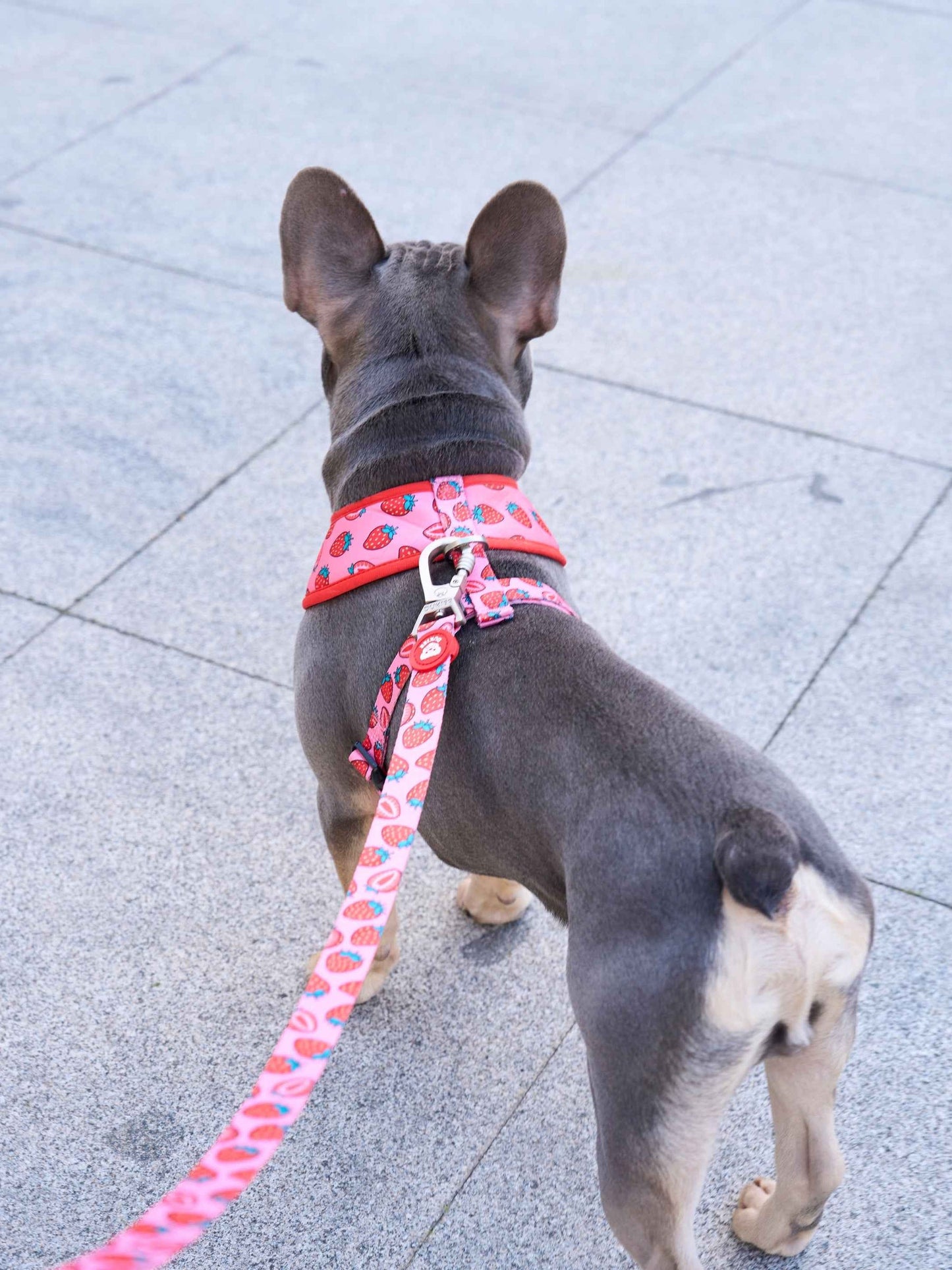 Dukier - Trela Berry Love