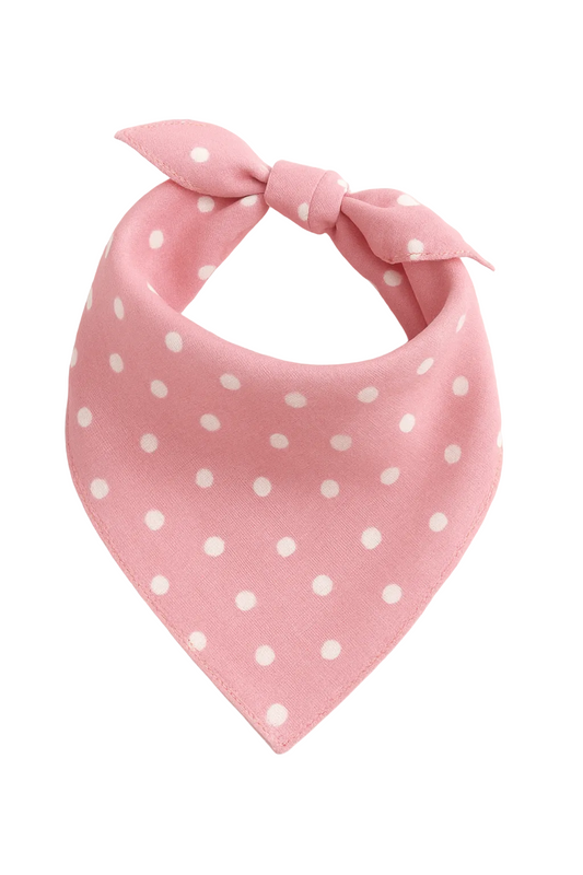 Lenço para Cães e Gatos