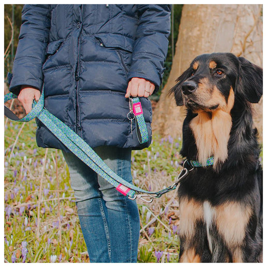 Max & Molly - Coleira Retro Blue com ID Tag