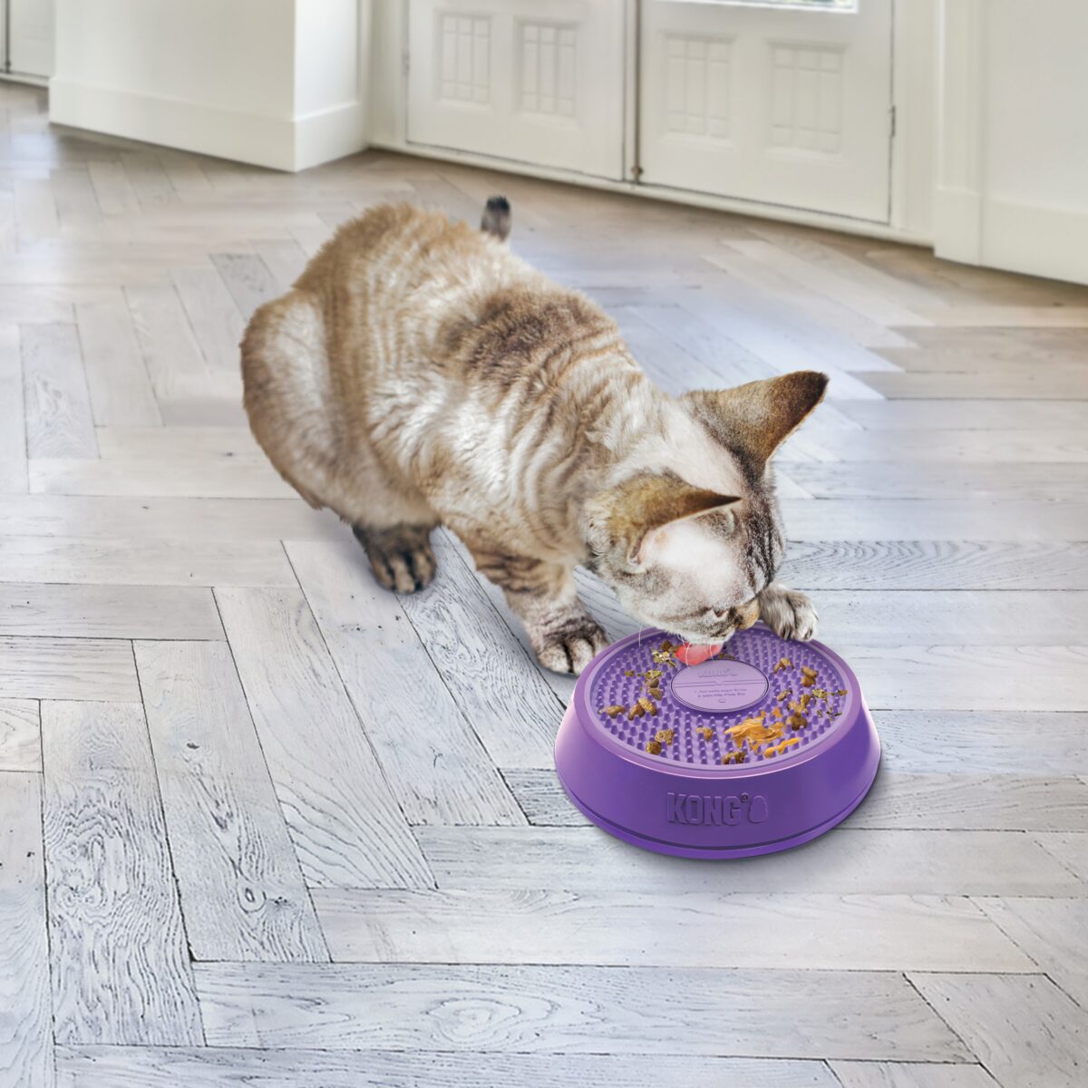 KONG - Dog/Cat Licks Spinz S