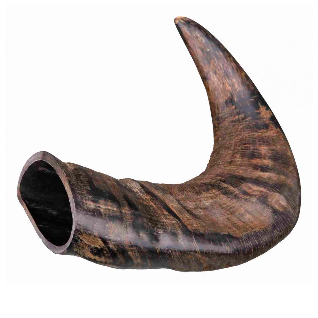 Corno de Búfalo para Mascar