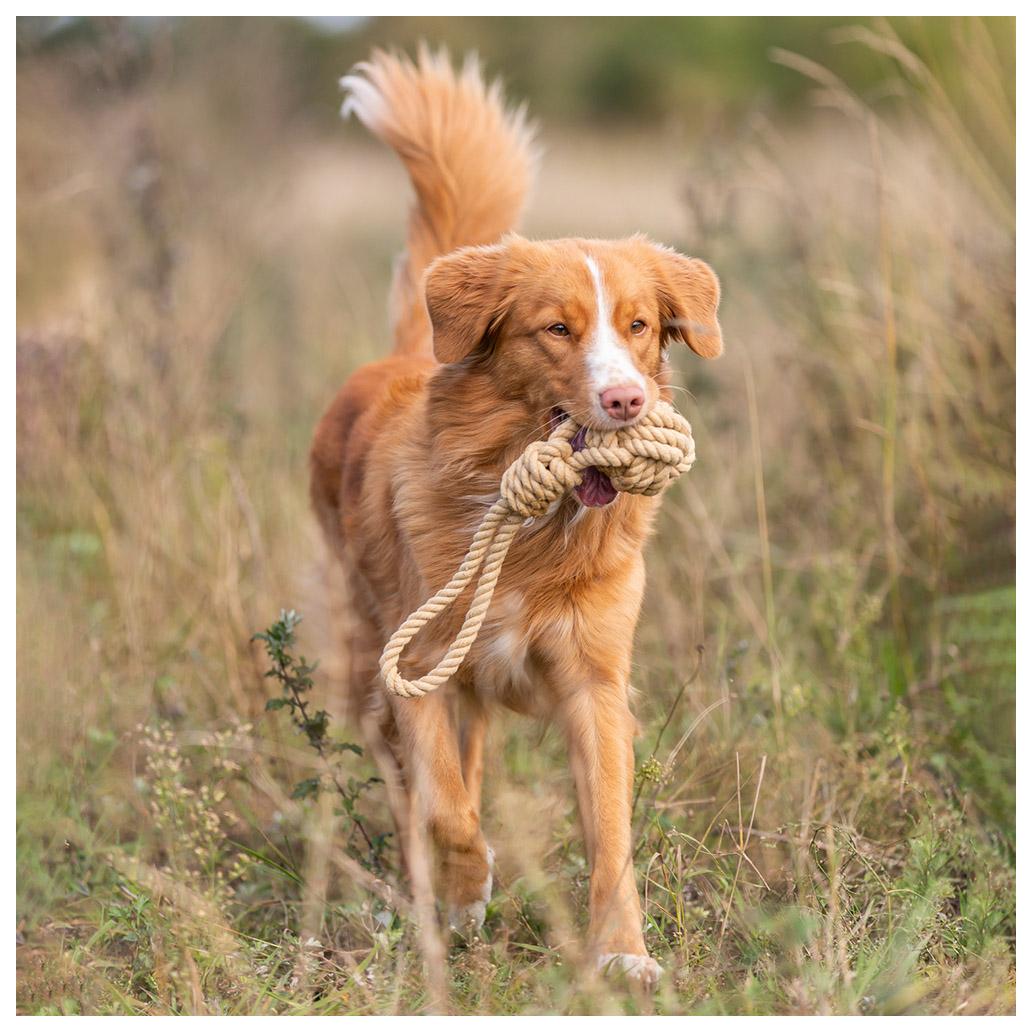 Trixie - Be Nordic – Corda Entrelaçada com Bola e Pega