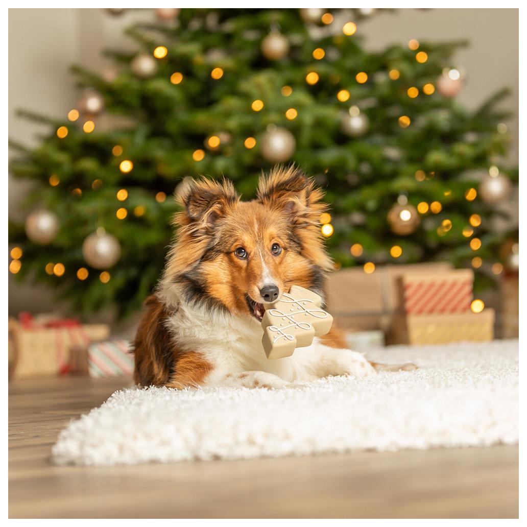 Trixie - Árvore de Natal em Látex