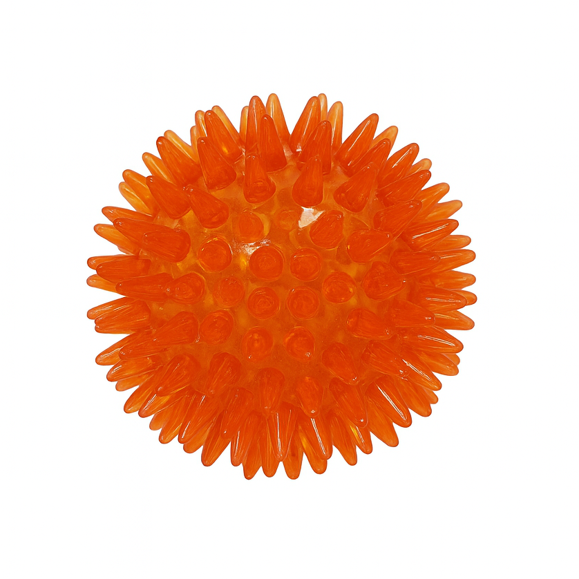 Bola com Espinhos de Borracha