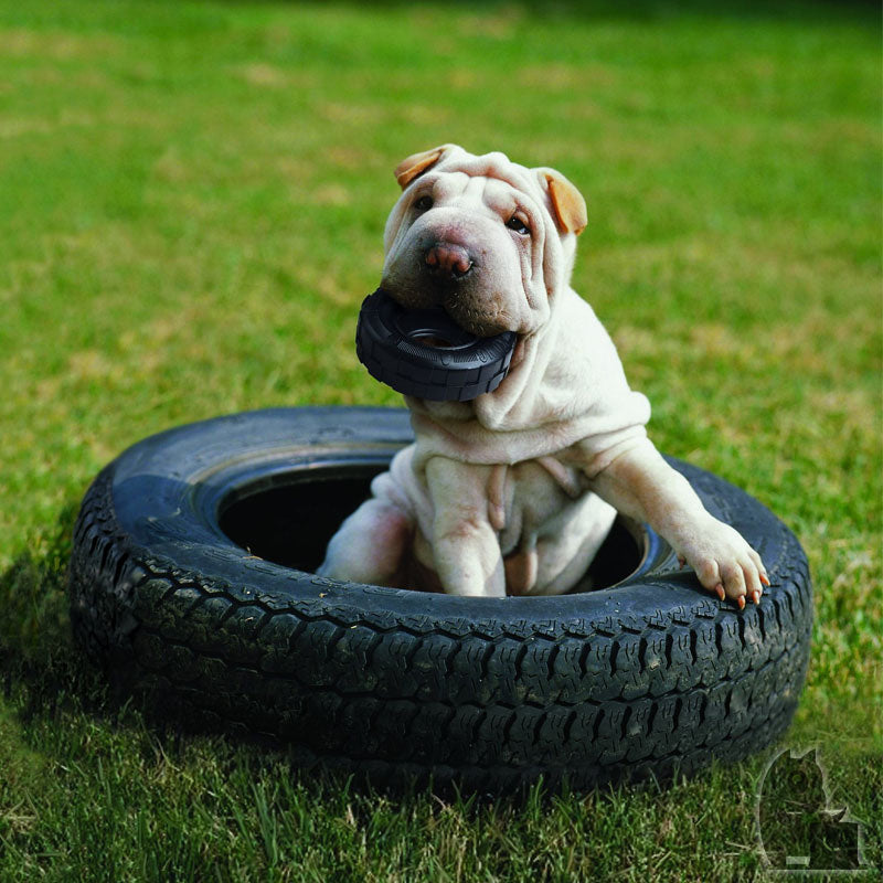 KONG - Tyres Extreme