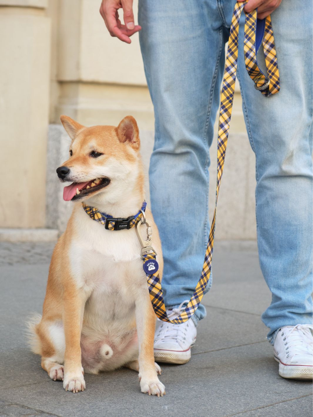 Dukier - Coleira Xadrez Mostarda