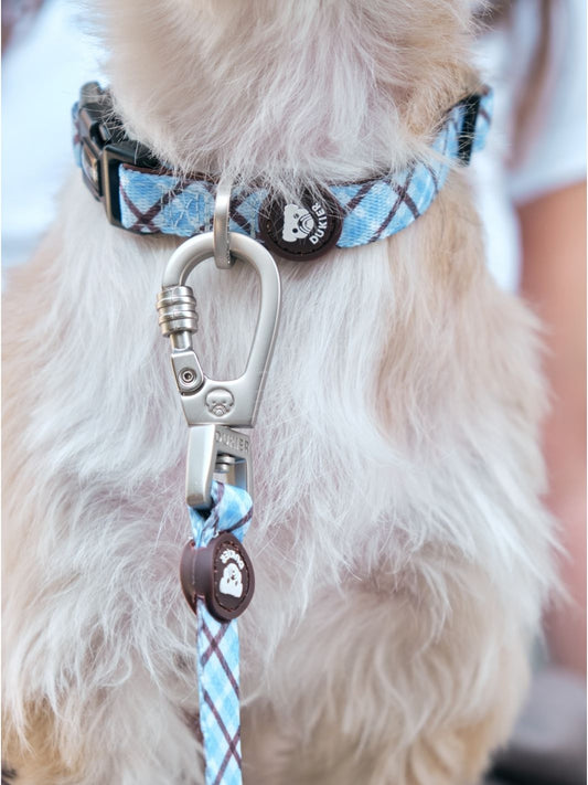 Dukier - Coleira Xadrez Blue Mocca