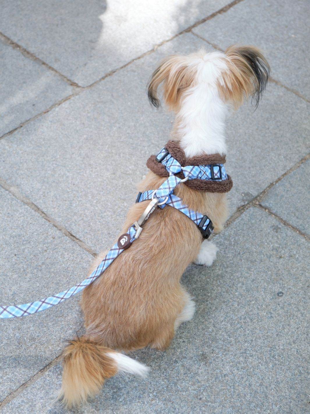 Dukier - Peitoral Ajustável Xadrez Blue Mocca