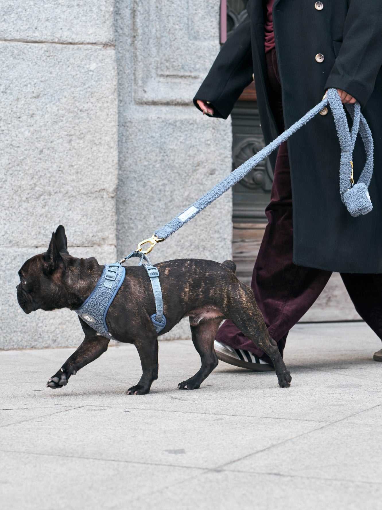 Dukier - Trela Teddy Navy