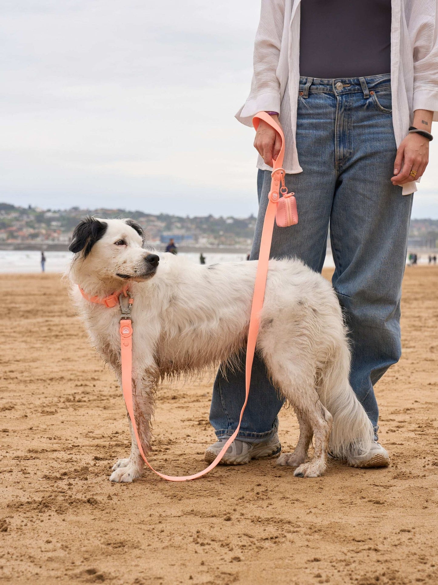 Dukier - Coleira Waterproof Coral