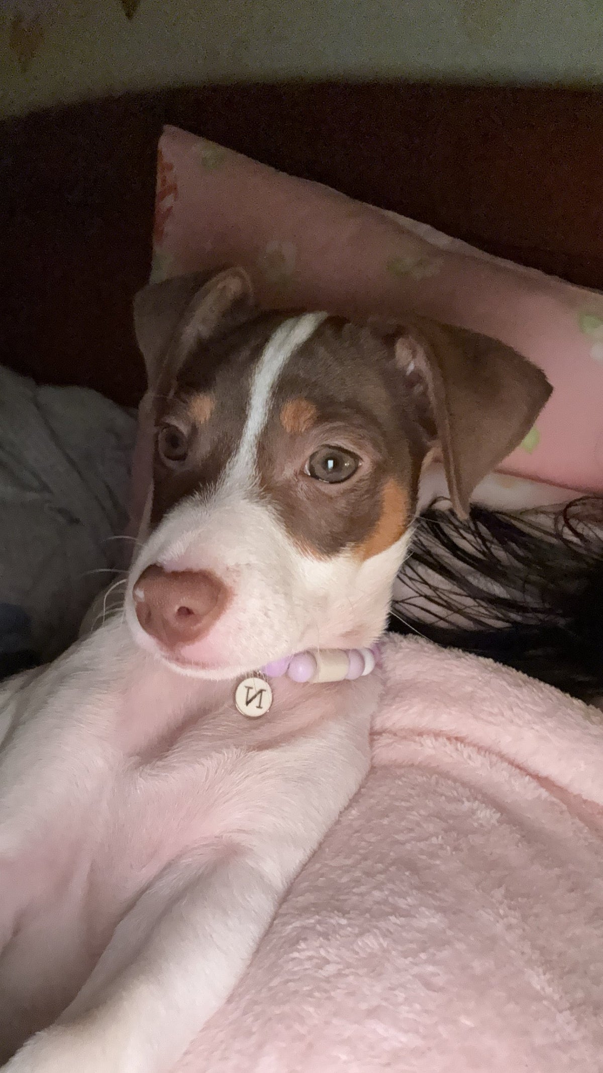 A Bebé Nala 💜