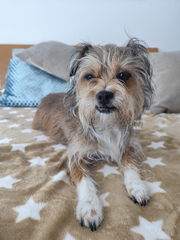 A Fiscal Pandora 👀