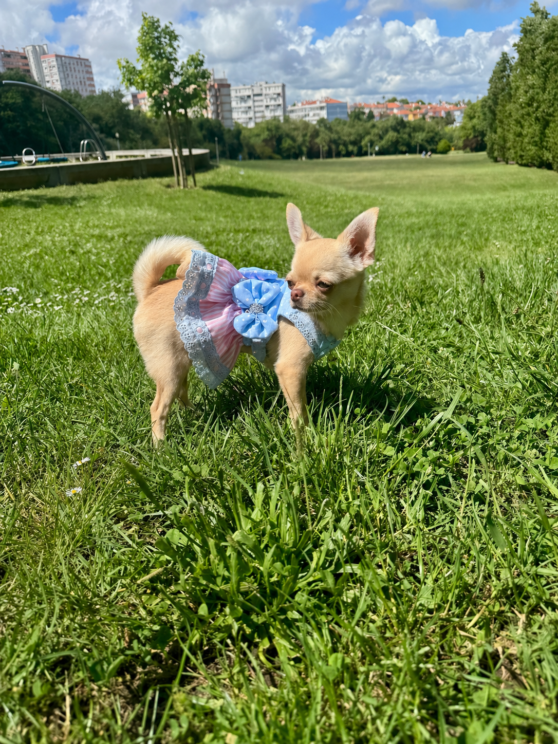 A Estilosa Luz 🎀