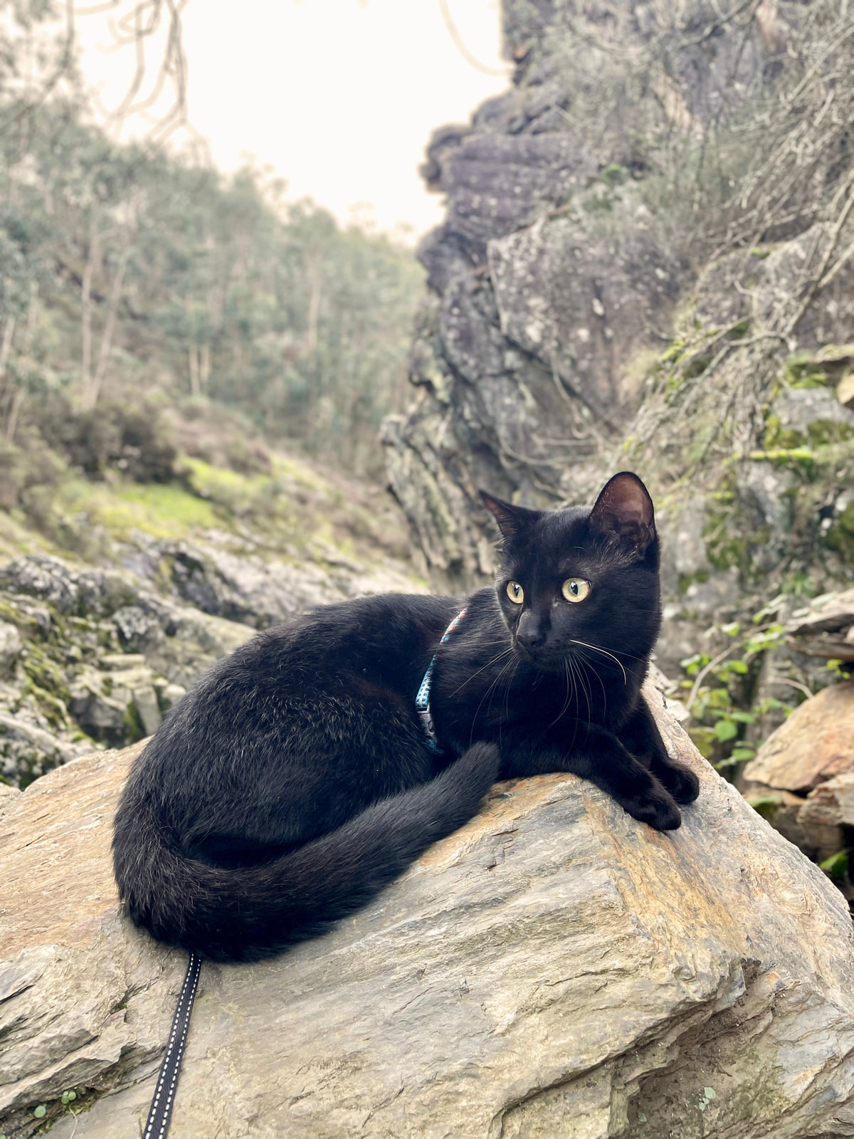 O Explorador Jeremias ⛰️