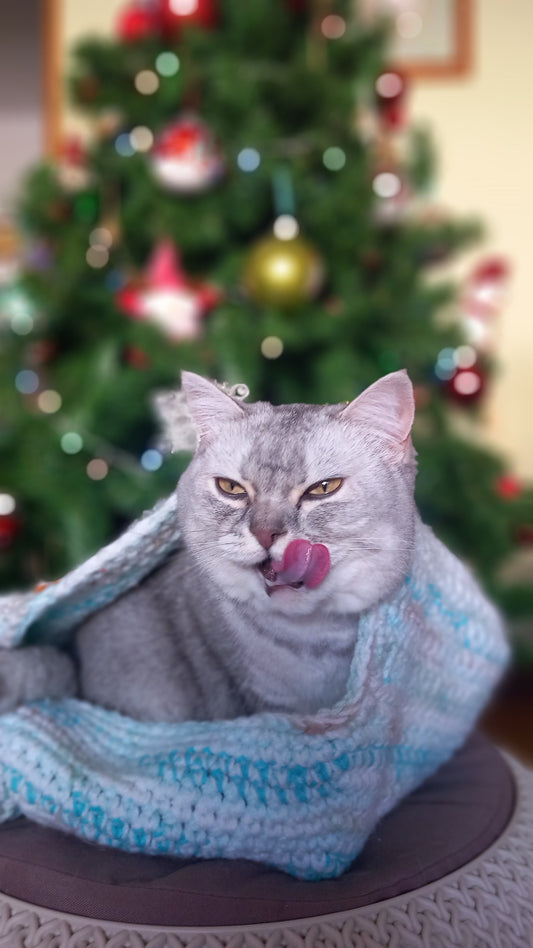 A Estrela Haru 🩶✨