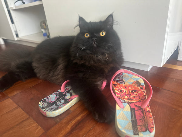 O Único Geraldo 🖤