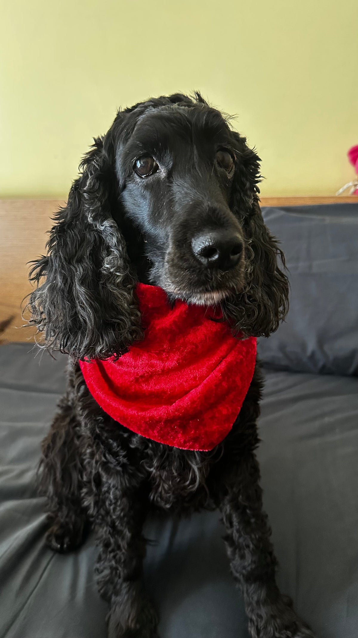 A Carioca Vickie ❤️