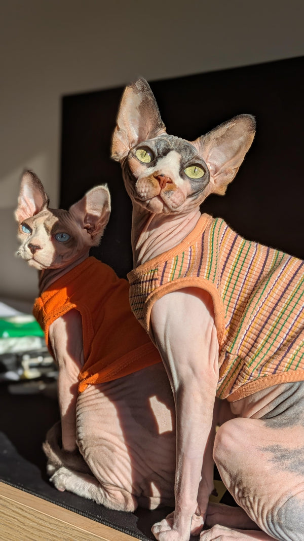 Os Manos Kai e Maru 🩵🩷