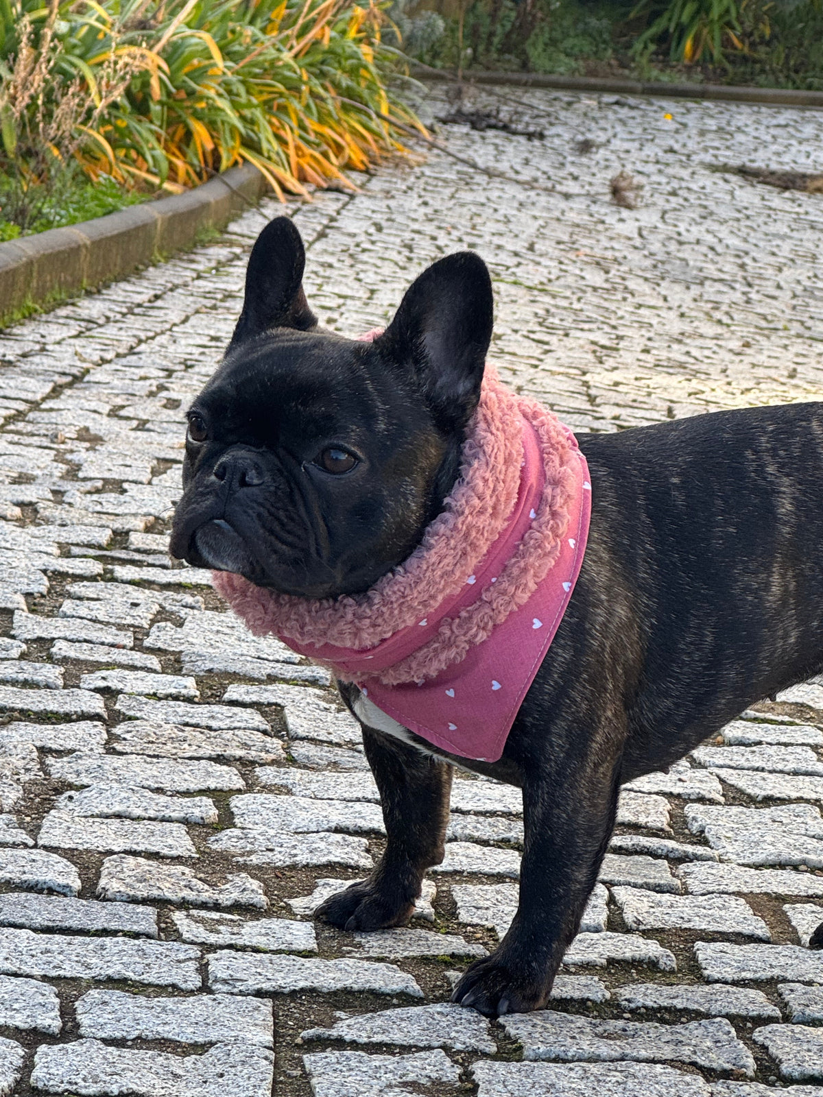 Miss Peppa 🎀