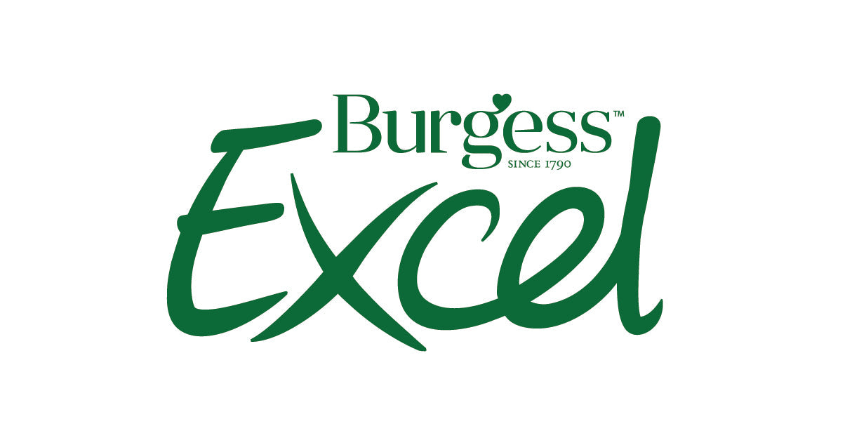 Burgess Excel