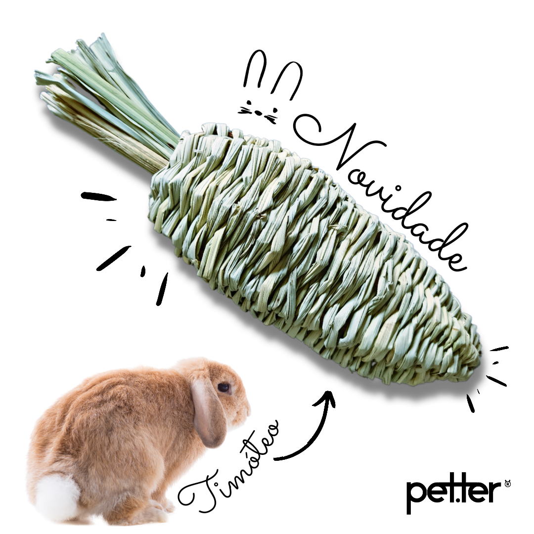 Petter - Timothy Carrot