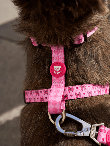 Dukier - Peitoral Clássico Coquette