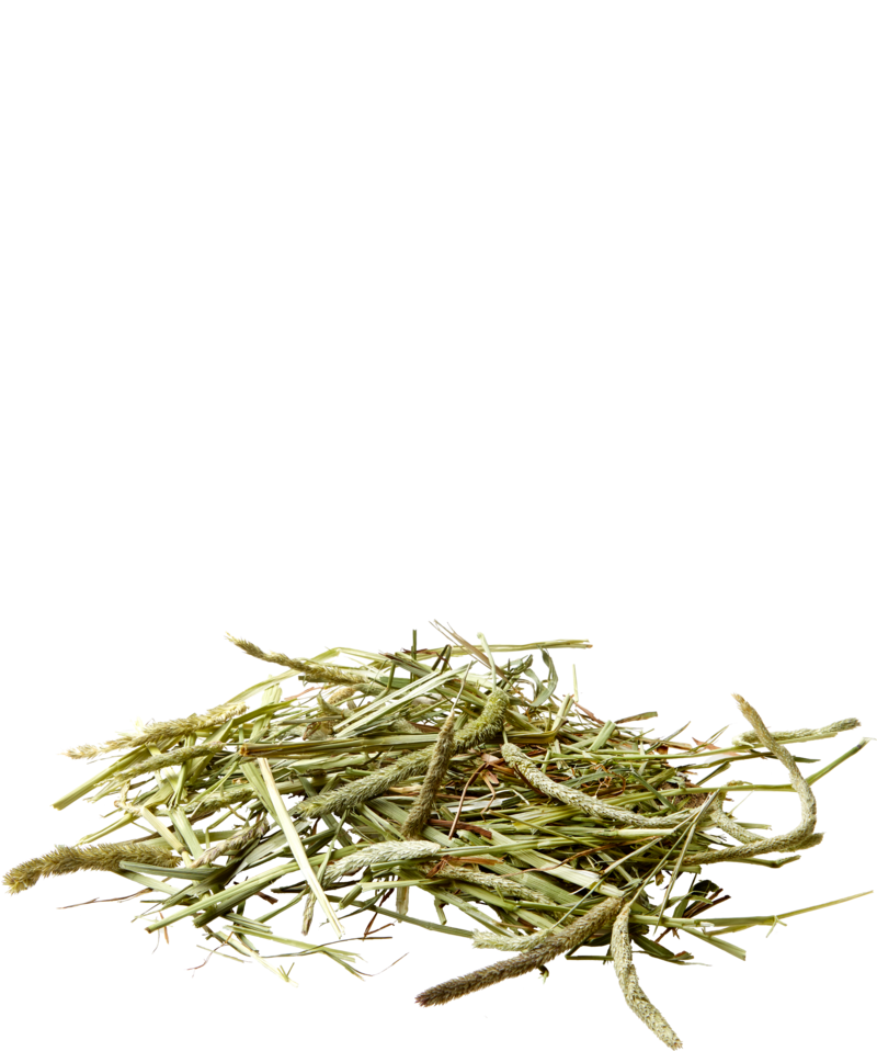 Versele-Laga - Nature Timothy Hay