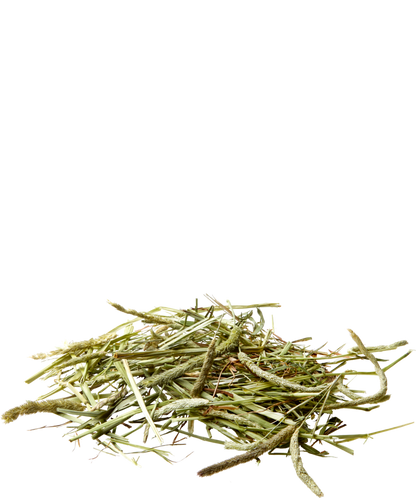 Versele-Laga - Nature Timothy Hay