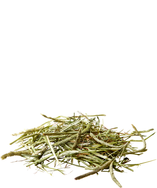 Versele-Laga - Nature Timothy Hay