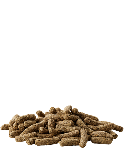 Versele-Laga Complete Cavia