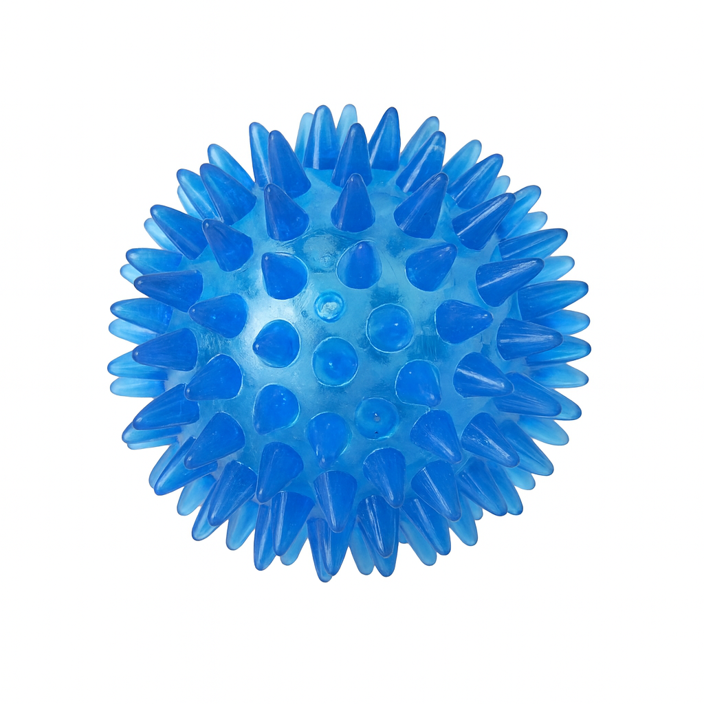 Bola com Espinhos de Borracha