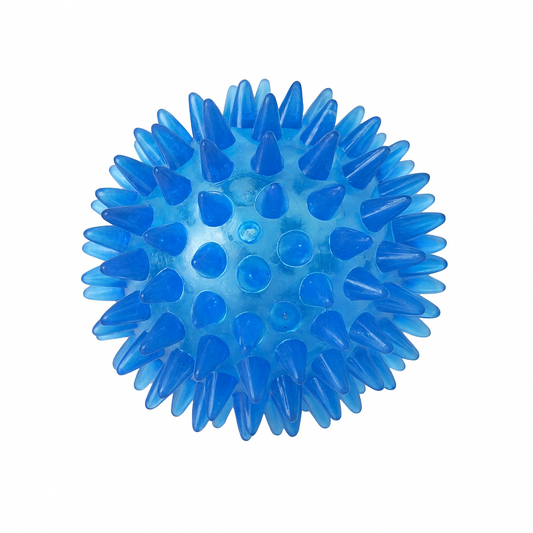 Bola com Espinhos de Borracha