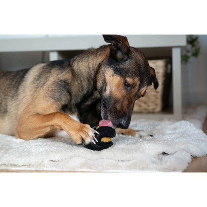 Zeus ChewChasers - Bola de Rugby Dispensadora de Snacks 12,5 cm