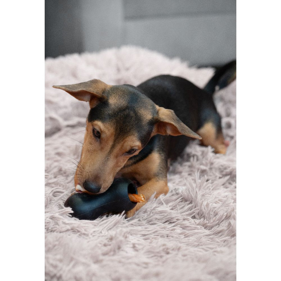 Zeus ChewChasers - Brinquedo Dispensador de Snacks para Cão