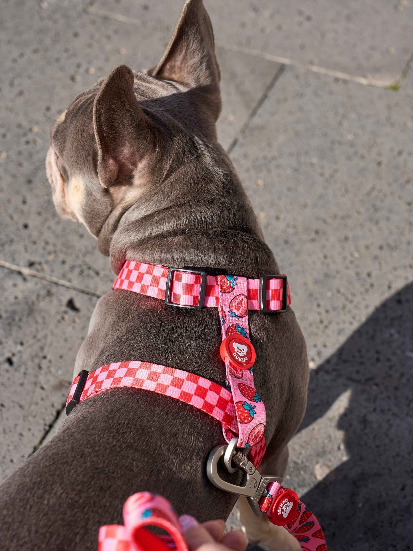 Dukier - Peitoral Clássico Reversível Berry Love