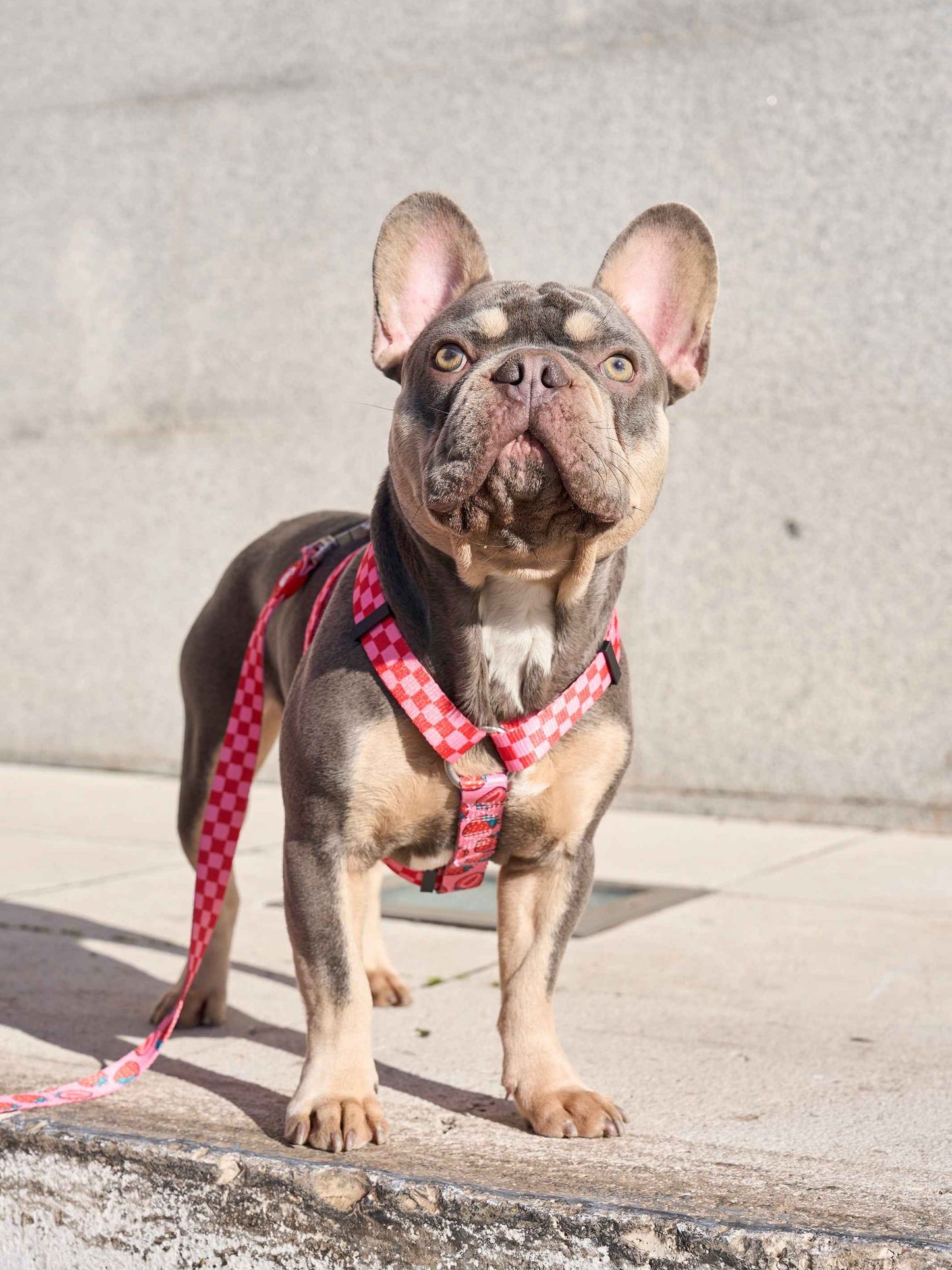 Dukier - Peitoral Clássico Reversível Berry Love