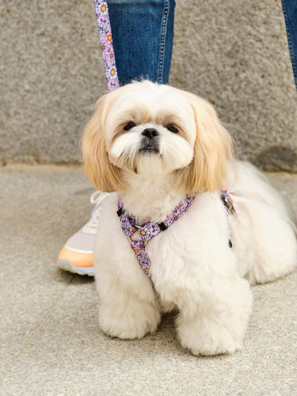 Dukier - Peitoral Clássico Flower Power