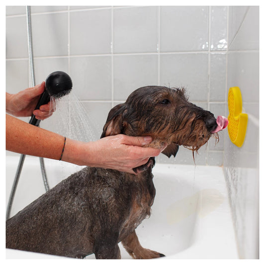 AFP Calm Paws - Brinquedo Anti-Ansiedade para Banho Bath Duck