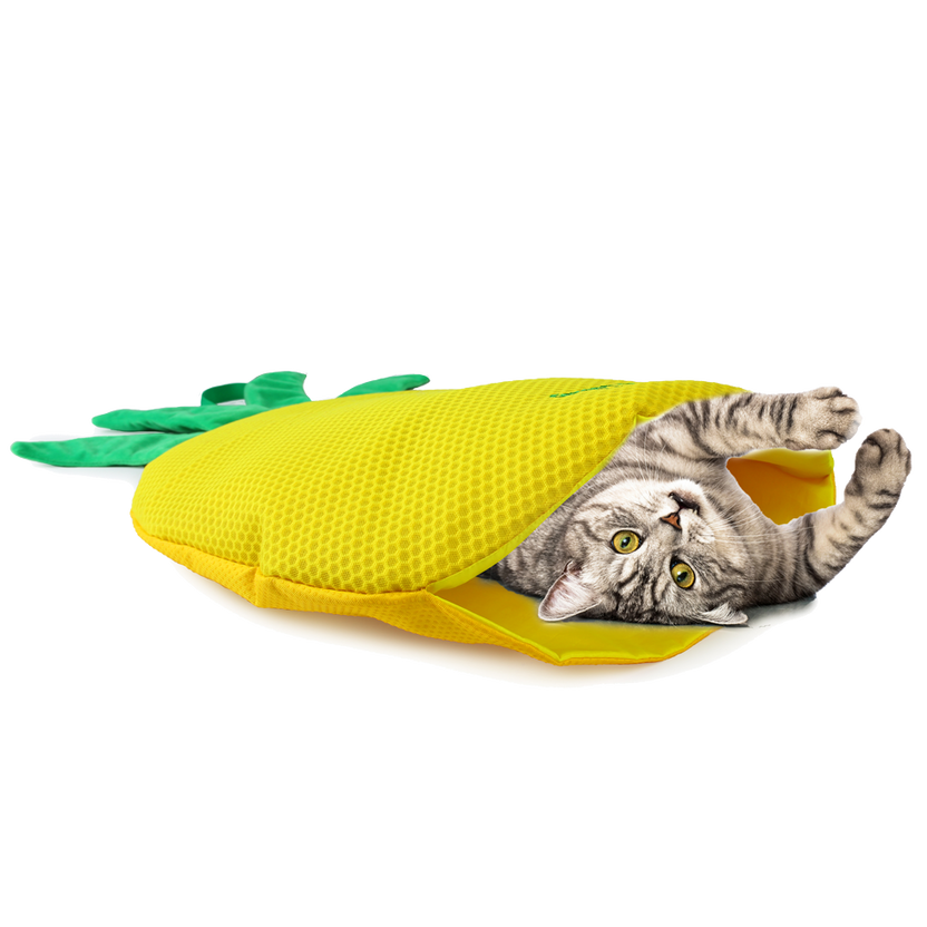 AFP Green Rush Play Mat - Tapete de Brincar com Catnip para Gatos