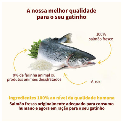 Almo Nature HFC Our Best Cat Salmão - Ração para Gato
