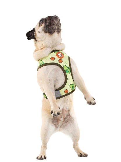 Dukier - Peitoral Reversível Avocato