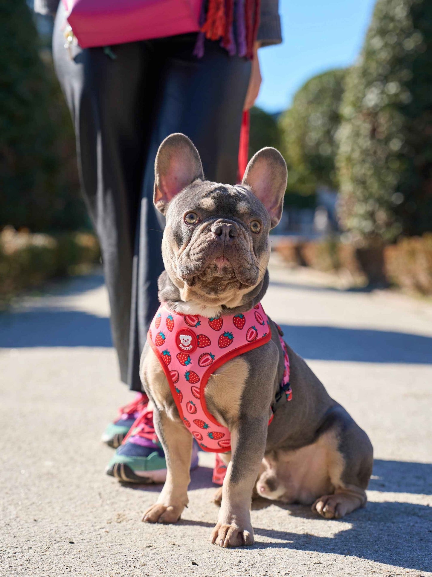 Dukier - Peitoral Reversível Berry Love