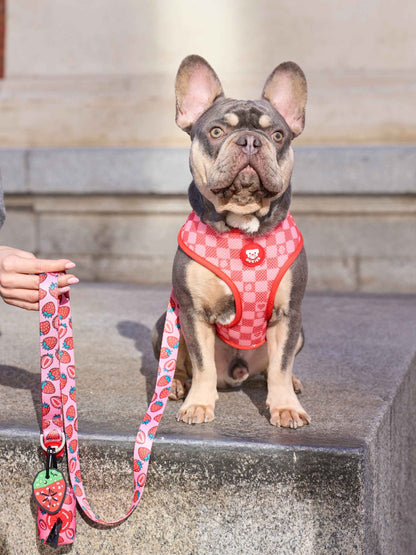 Dukier - Peitoral Reversível Berry Love