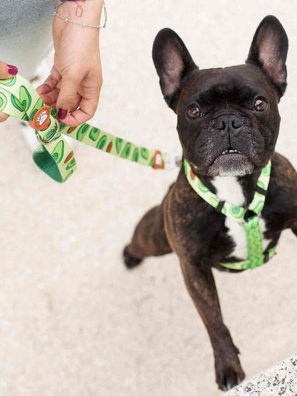 Dukier - Trela Abacate