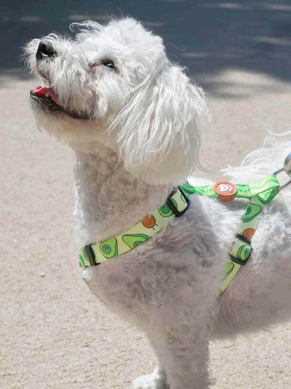 Dukier - Peitoral Clássico Abacate