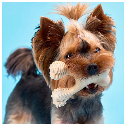 BetterBone - Brinquedo de Roer Natural para Cães Macio Classic